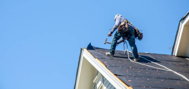 Best Flat Roof Repair Services  in Mlstadt, IL